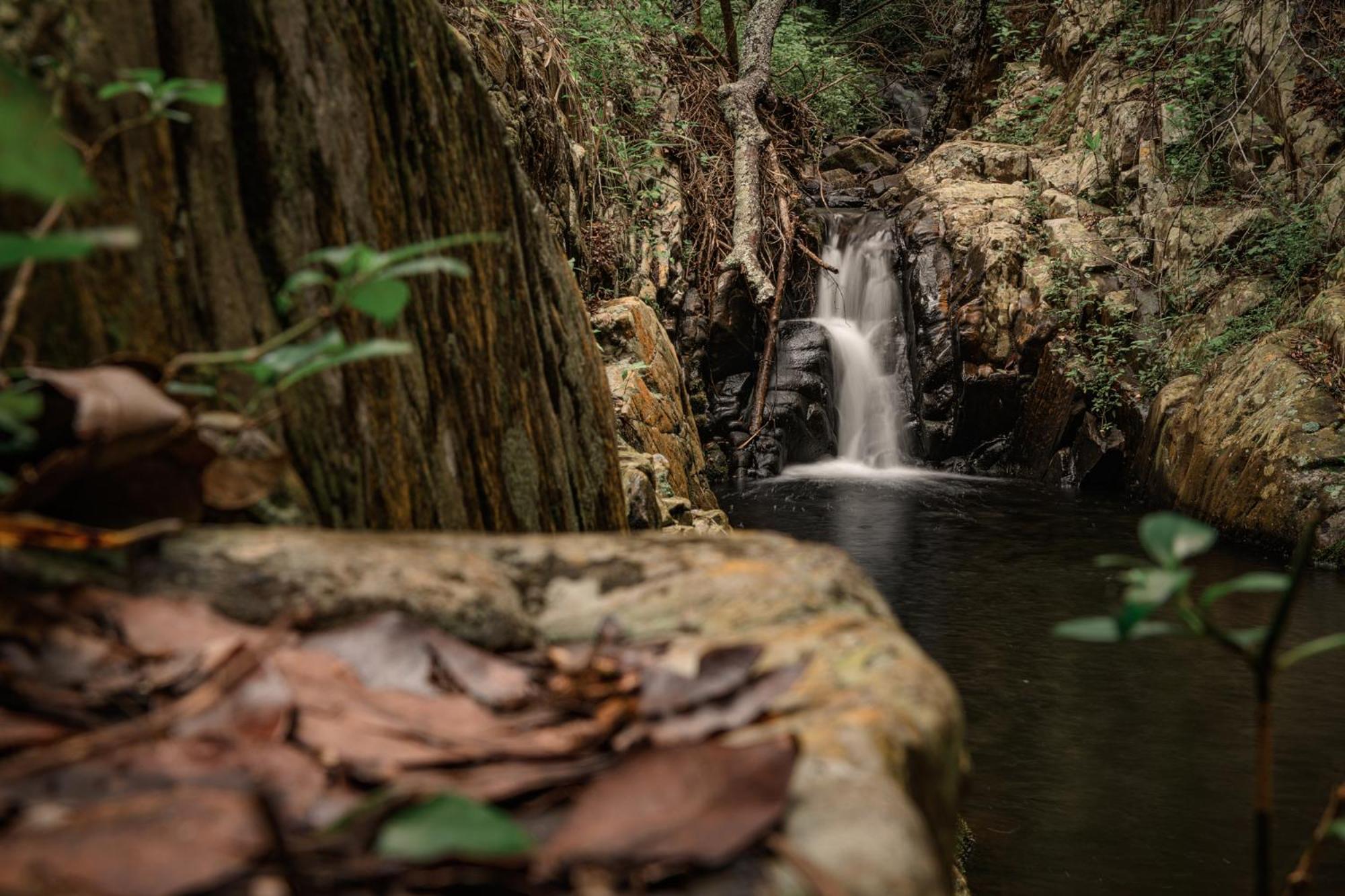 Serenity Mountain And Forest Lodge Malalane Bagian luar foto