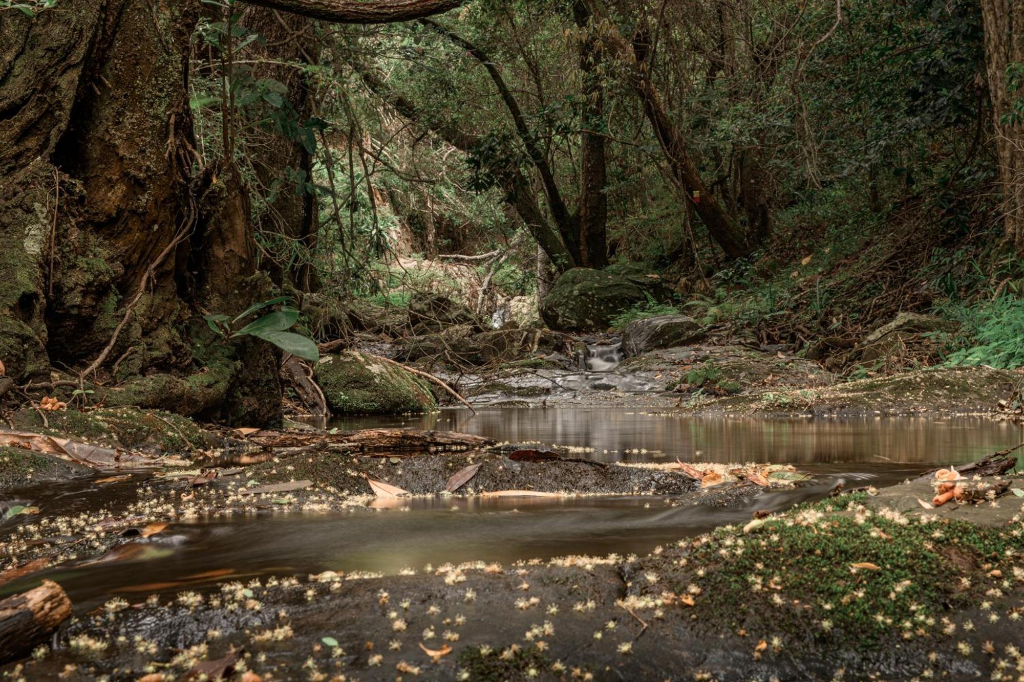 Serenity Mountain And Forest Lodge Malalane Bagian luar foto
